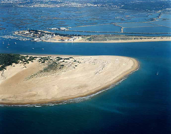 Punta Boquerón. Puerto Deportivo de Sancti Petri, (San Fernando. Cádiz)