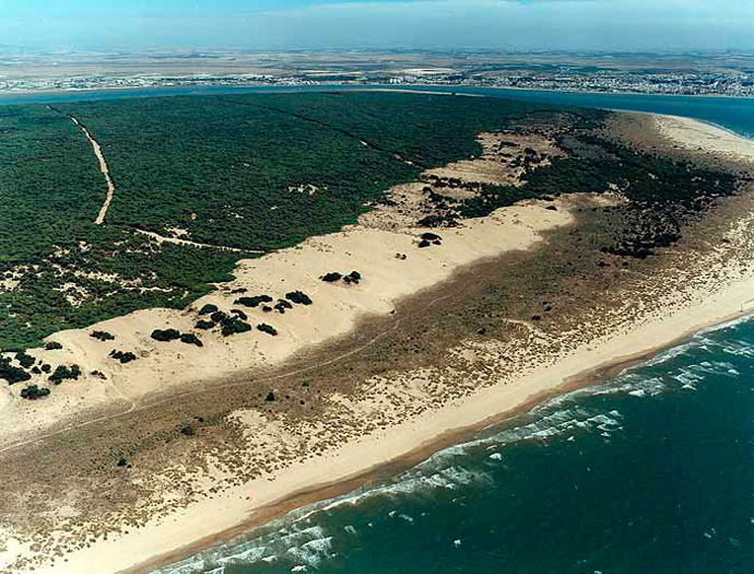 Desembocadura del Guadalquivir