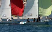 Trofeo Sir Thomas Lipton 2011 de Match Race