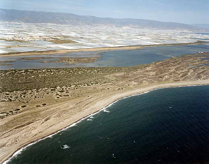 Playa de Almerimar / San Miguel Levante y Playa de Cerillos (El Ejido) 