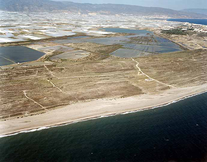 Playa de Almerimar / San Miguel Levante y Playa de Cerillos (El Ejido) 