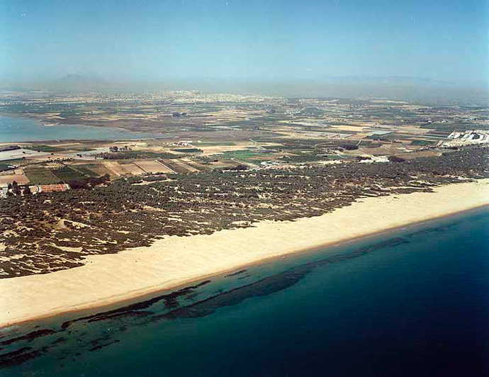 Playa de les Ortigues y del Campo (Guardamar del Segura)