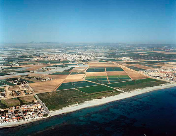 Playa del Mojón (Pilar de la Horadada)