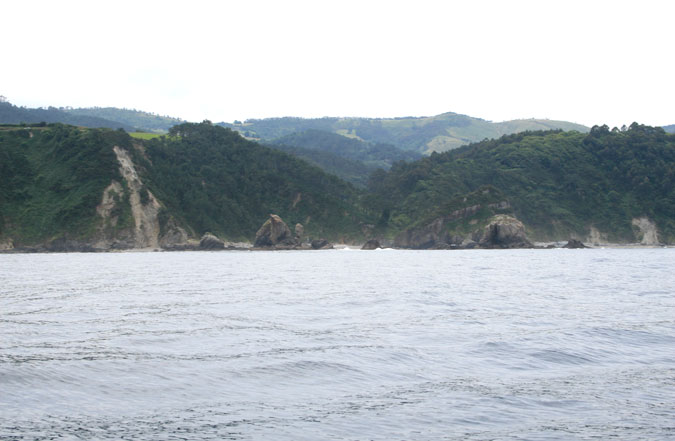Punta Borona