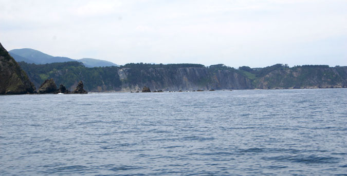 Restinga e islotes de la Punta Perceberos