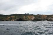 Islotes Fulloes y Punta Forcada