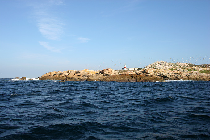 Punta Besugueiros. Faro de Sálvora