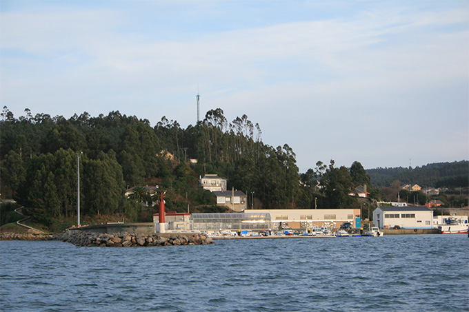 Puerto de O Vicedo