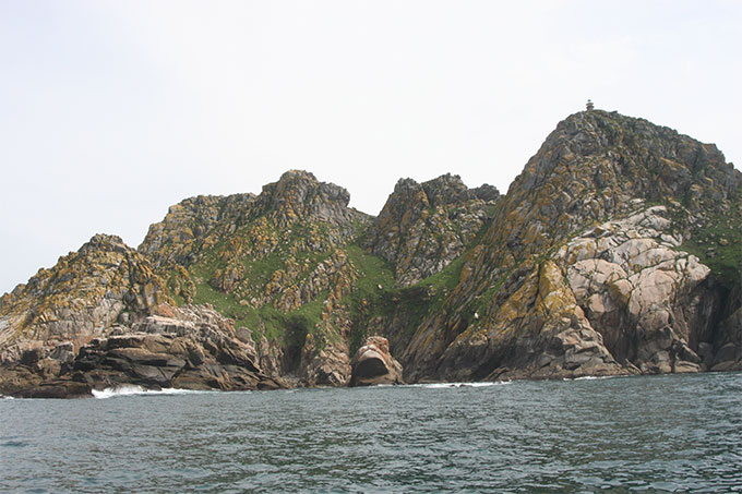 Habitat de aves. Cara oceánica de la Isla del faro