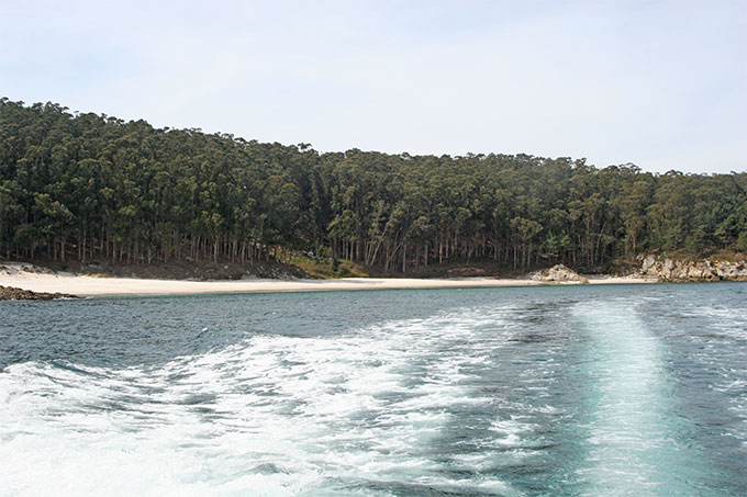 Playa de Figeuiras