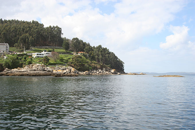 Punta Arbosa