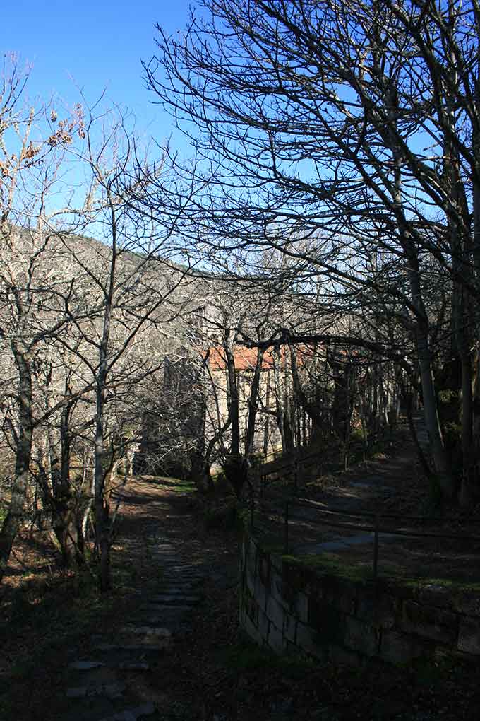 Arte e historia entre bosques