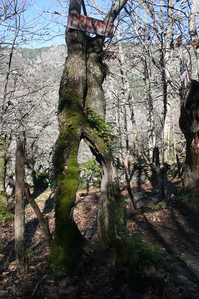 Esculturas de la naturaleza