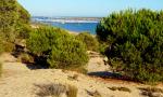 Playa del Rompido / San Miguel Cartaya Huelva 