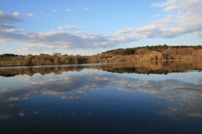 Laguna de Sobrado