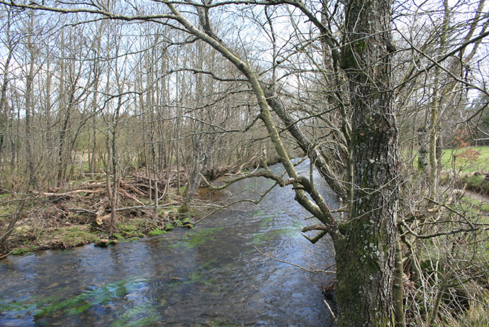 Río Furelos