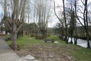 Río Furelos 