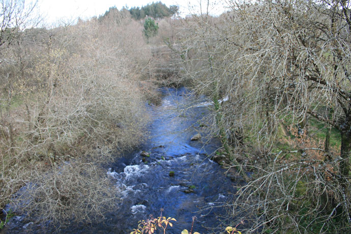 Río Furelos 