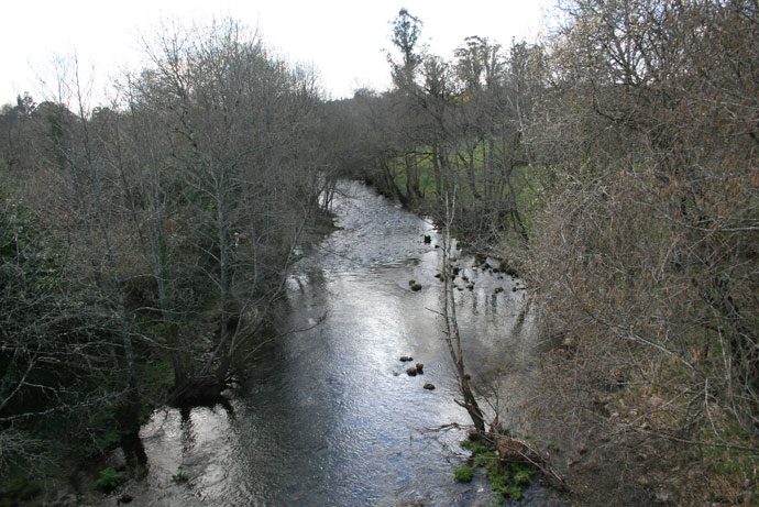 Río Furelos 