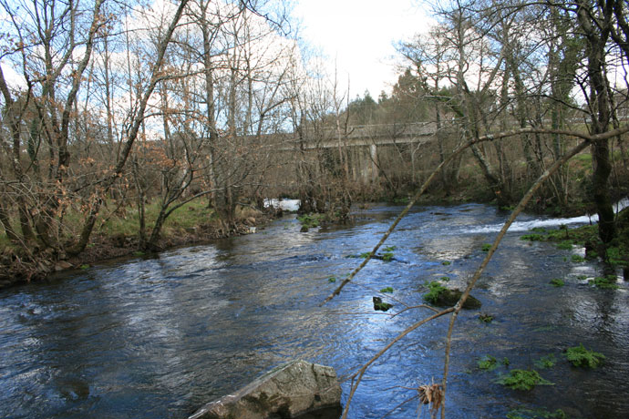 Río Furelos 