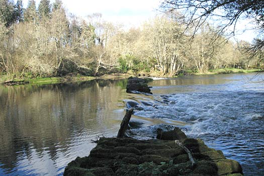 Salida de aguas de una de los caneiros