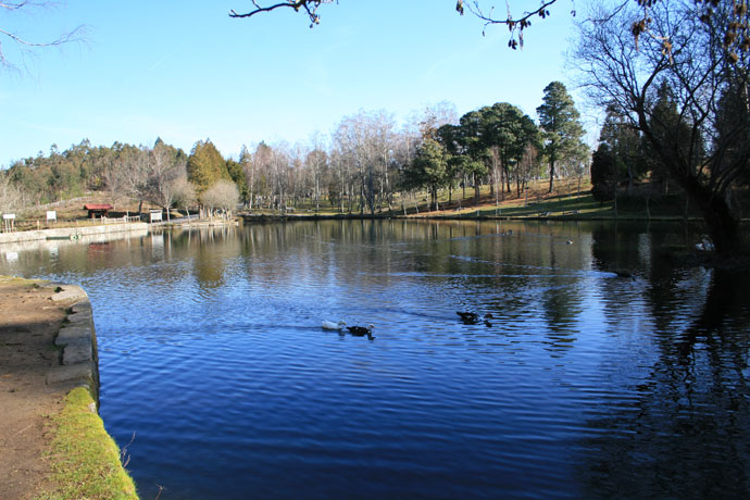 Lago Castiñeiras 