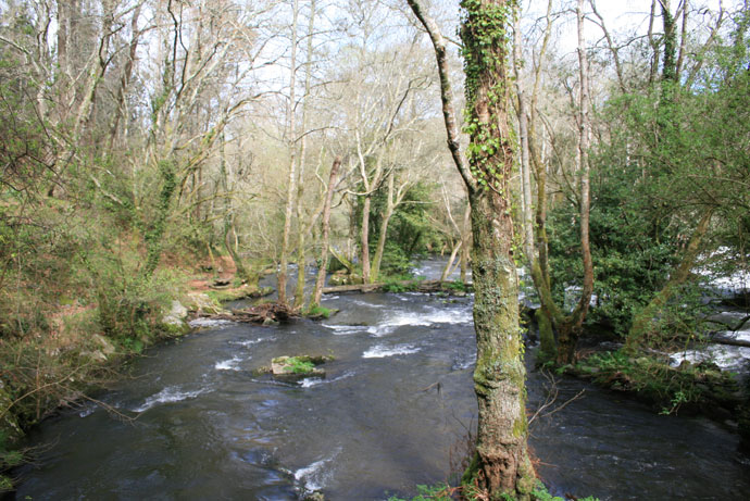 Aguas abajo del refugio