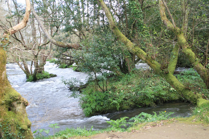 Zona del refugio de Verdes