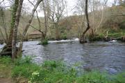 Zona del refugio de Verdes