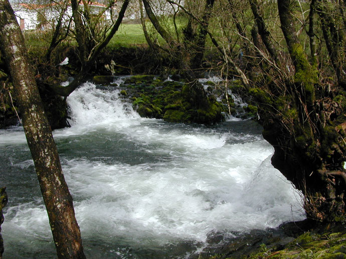Río Asneiro 