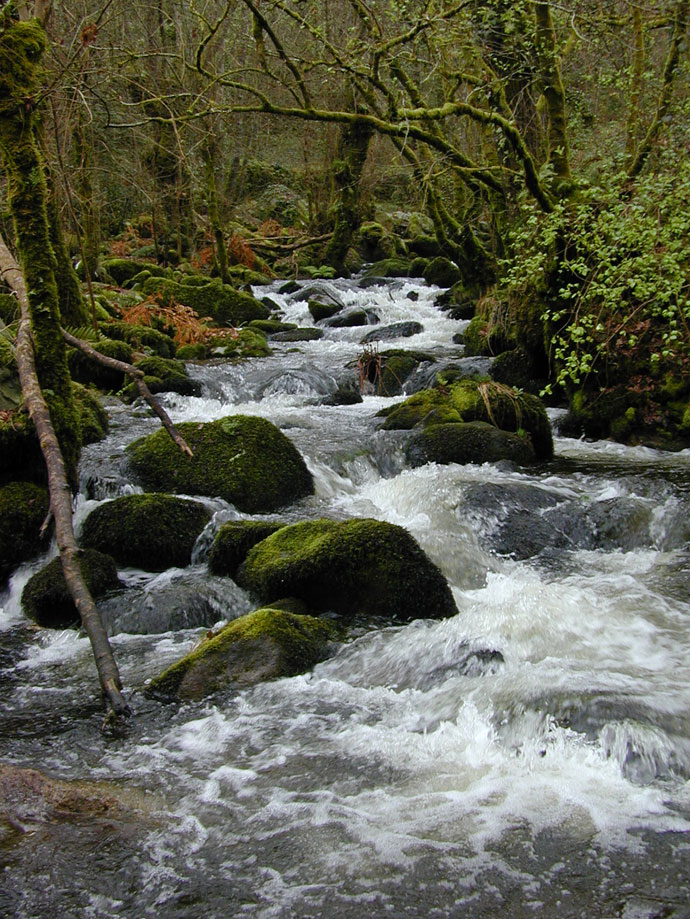 Aguas abajo de la cascada