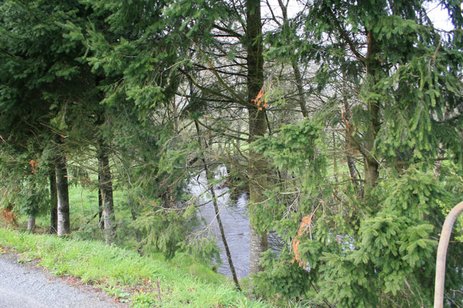 Río Lenguelle
