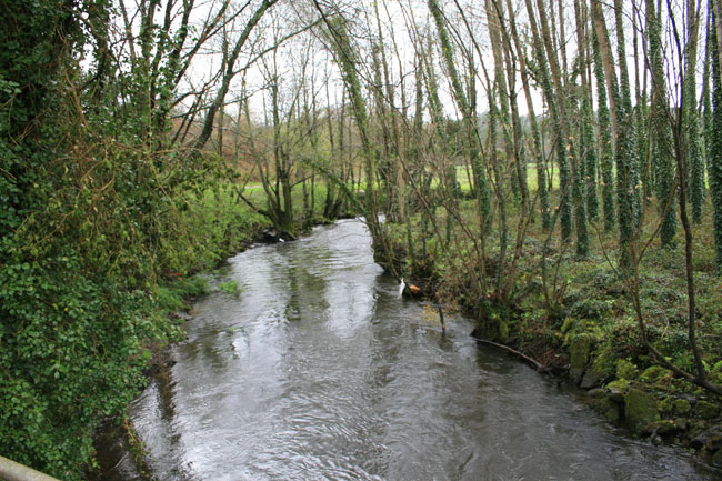 Río Lenguelle