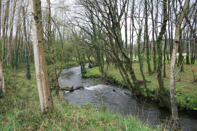 Río Lenguelle