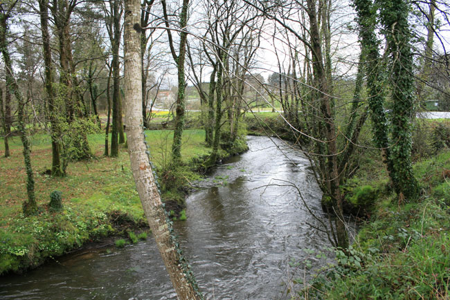Río Lenguelle