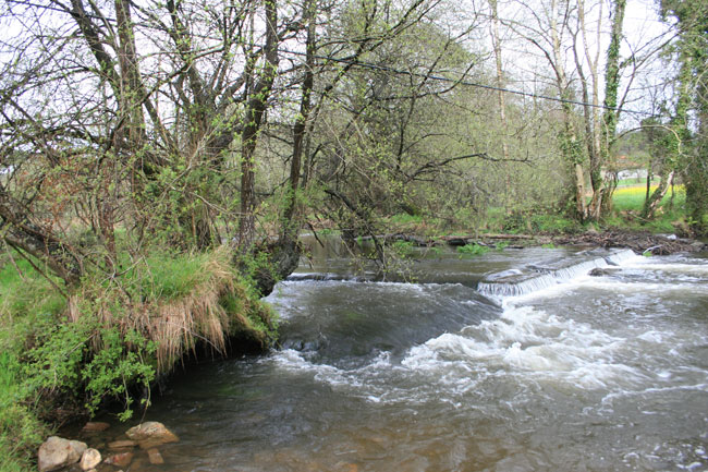 Río Lenguelle