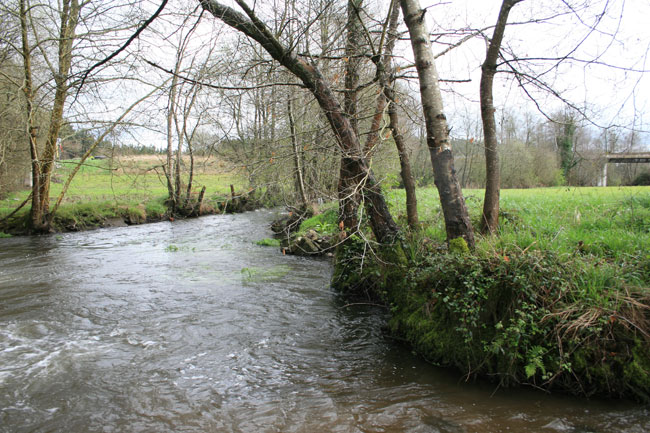 Río Lenguelle