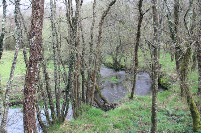 Río Lenguelle