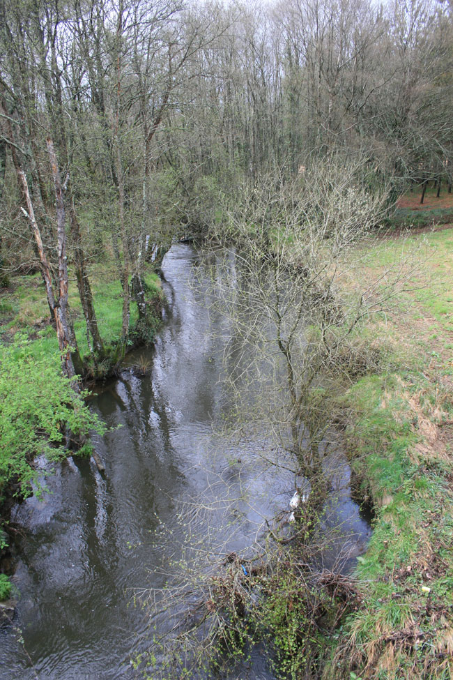 Río Lenguelle