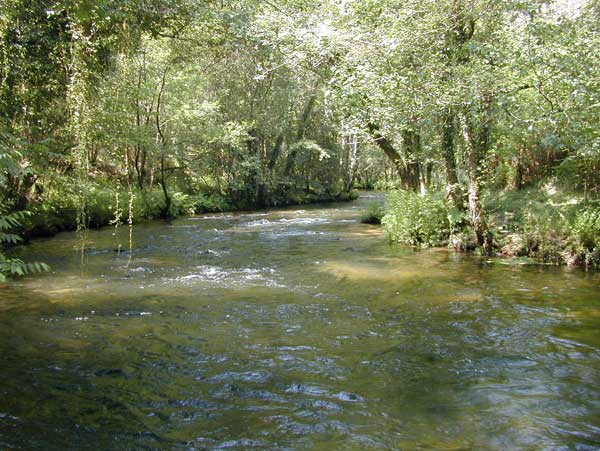 Zonas de pesca