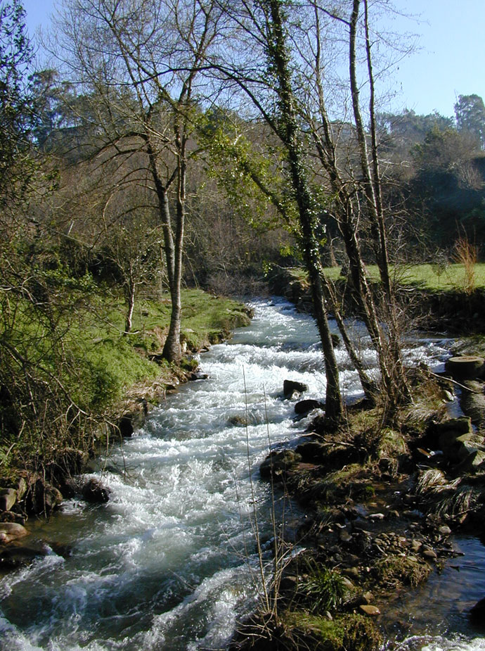 Río Zamáns por Gondomar