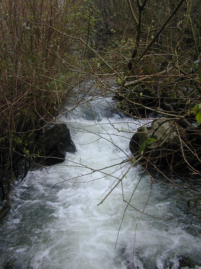 Río Zamáns