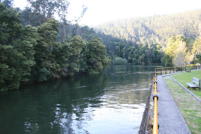 Aguas de reo