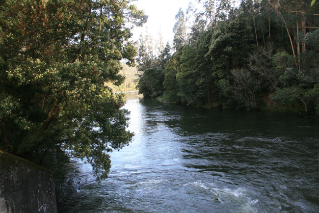Aguas turbulentas