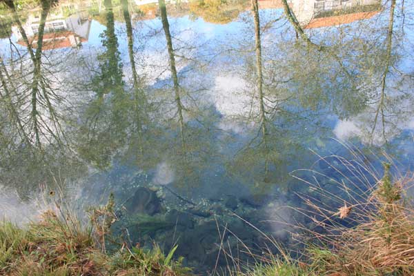 Espejo en aguas limpias