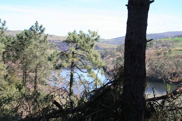 Río Xallas. Embalse de Santa Uxía