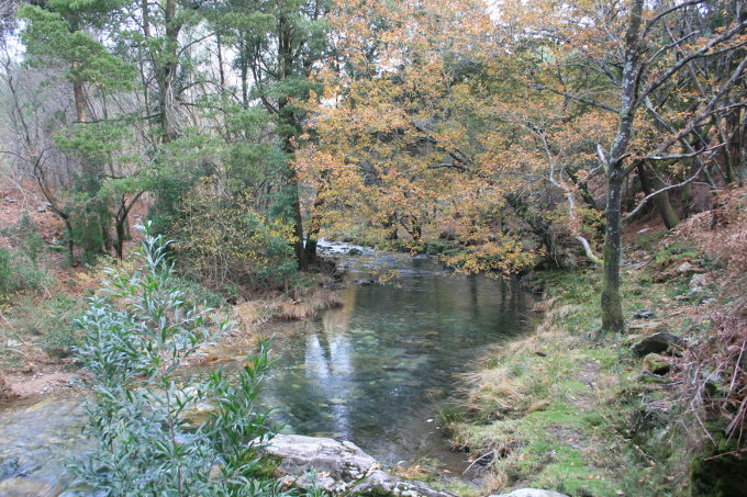 Pozas de Loureza