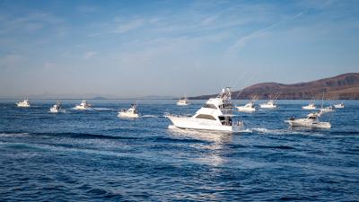 XXXI edición de la Puerto Calero Marlin Cup