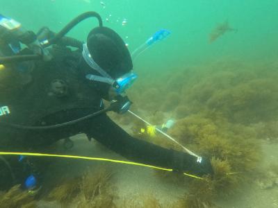 Marinas de Andalucía consolida su compromiso con la biodiversidad y la protección del medio marino Marinas de Andalucía consolida su compromiso con la biodiversidad y la protección del medio marino