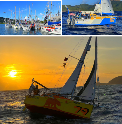 barcos